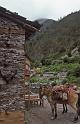 WT 1000 158-06 Nepal